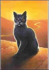 De qui Pelage d'Orage tombe-t-il amoureux ?