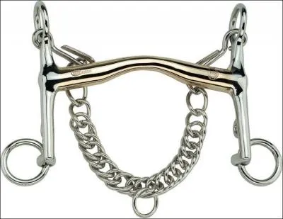 Ce mors est un mors :