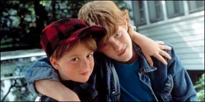 Dans la série "Les Aventures de Pete et Pete", qui sont Pete et Pete l'un pour l'autre ?