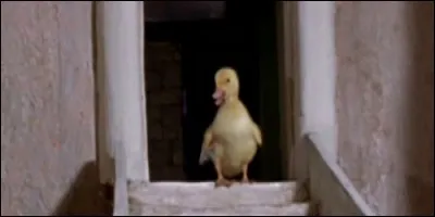 Qui est le créateur de la série "Les Aventures de Saturnin" ?