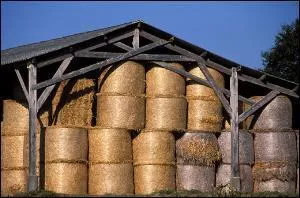 Que mange le cheval lorsqu'il est dans son box ? (en gnral)