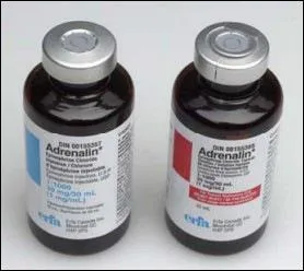 Comment s'crit ce mot ?