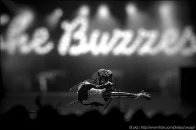 De quel instrument cette mouche joue-t-elle ?