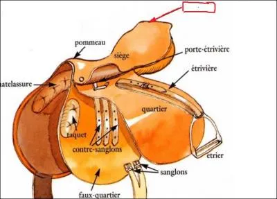 Comment s'appelle la partie montre par la flche rouge ?