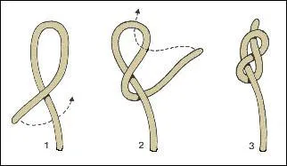 Ceci est un : (2 rponses)