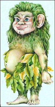 Avec qui l'Aouka est-il confondu ?