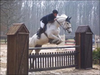 De quel ct faut-il monter  cheval ?