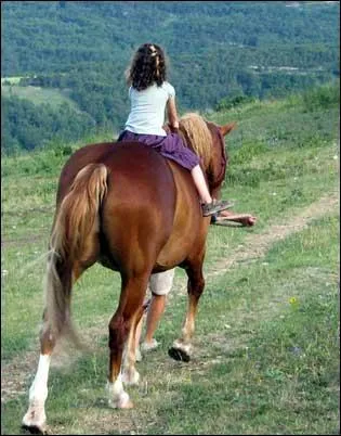 Est-ce que le cheval sait ce que le cavalier ressent ?