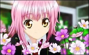 Quel est le nom de ce dessin anim ?