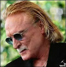 C'est en 1965 que le chanteur Christophe a  cri, cri pour qu'elle revienne . Comment se prnommait cette  belle dame au doux visage qui lui souriait  ?