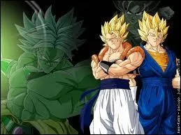 Quels sont les personnages de ces 2 fusions ?