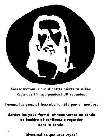 Faites ce que vous dit la lgende de la photo. Que voyez-vous ?