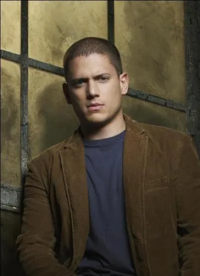 Michael Scofield est dans quelle s�rie ?