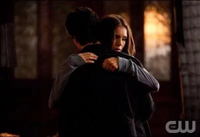 Qu'est-ce que Damon avoue  Elena  la fin de l'pisode ?