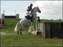 Comment se nomme cet obstacle ?