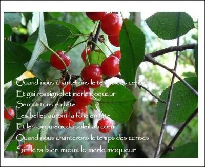 Qui est l'auteur des paroles de la chanson  Le temps des cerises  ?