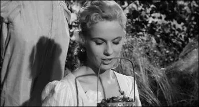 Comment sont les fraises dans un film d'Ingmar Bergman ?