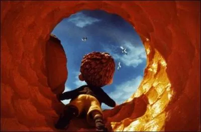 Dans un rcit de Roald Dahl, comment s'appelle le petit garon qui voyage dans une pche gante avec des insectes humanodes ?