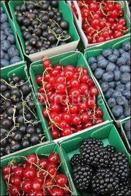 Quel fruit est aussi appel brimbelle ?