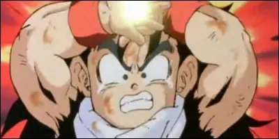 Qui a appris le Masenko à Gohan ?