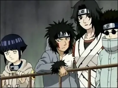 Quel est le numro de l'quipe compose de Hinata, Shino, Kiba ?