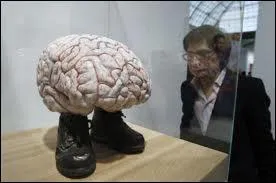 Une personne qui a un QI (Quotient Intellectuel) suprieur  130 est considr comme...