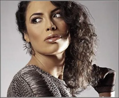 Qui chante  Tout est pareil  ?