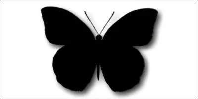 Ancien footballeur, surnomm  The King  outre-Manche, il est le hros de ce tlfilm,  Le Papillon noir  !