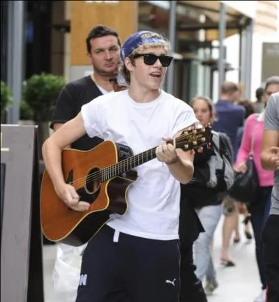 De quel instrument de musique joue Niall ?
