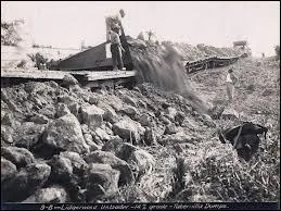 En avril 1887 il s'embarque avec le peintre Charles Laval pour le Panama o ils vont travailler tous les deux. Comme quoi ?