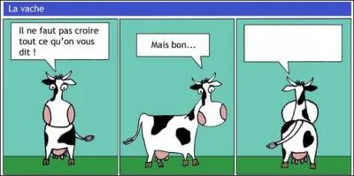 Compltez la dernire bulle.