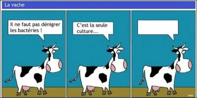 Compltez la dernire bulle.