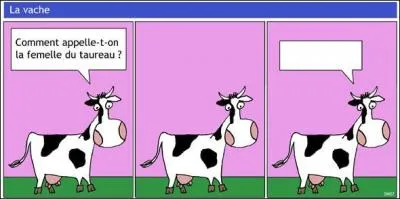 Compltez la dernire bulle.