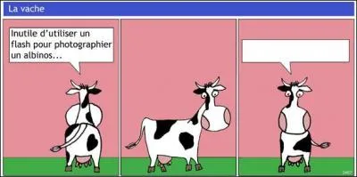 Compltez la dernire bulle.