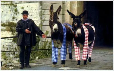 Henri Bosco est l'auteur de  l'ne Culotte . Pourquoi ce drle de nom ?