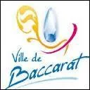 Que s'est-il pass  Baccarat le 22 Fvrier 2003 ?