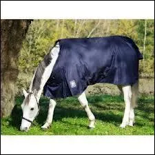 Quand et pourquoi met-on une couverture  un cheval ?
