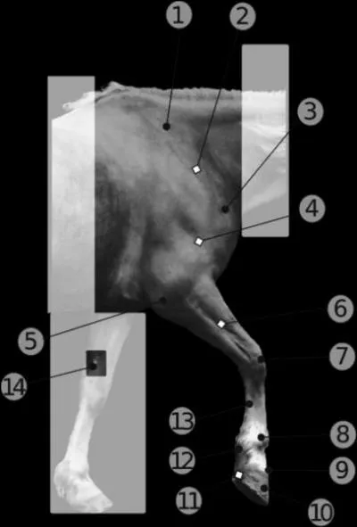 Comment ce nomme le numro 3 et 8 ?