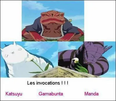 Qu'invoquent nos hros ?