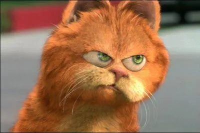 Quel est le nom de ce matou ?