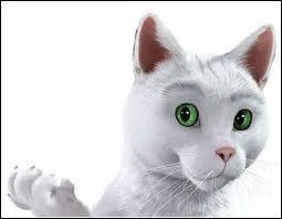 Quel est le nom du chat de cette publicit automobile ?