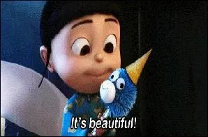 Que veut dire  papuche  ?