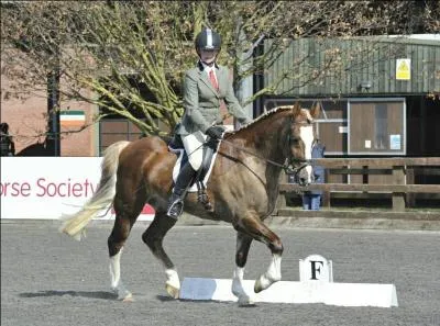 Une demi-volte est :