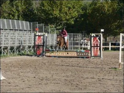 Quel est le nom de cet obstacle ?