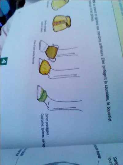 Les cloches se mettent sur :