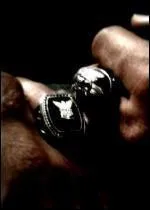 Que reprsente cette bague pour les frres Salvatore ?