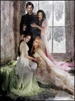 Qui Damon n'a-t-il jamais embrass ?