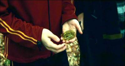 Dans le film, Neville donne la branchiflore à Harry, ce qui le sauve pour la deuxième tâche du tournoi. Dans le livre, qui donne la branchiflore à Harry ?