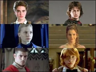 Que font Krum et Fleur avant de partir de Poudlard dans le livre ?