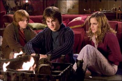 Dans le film, Harry est à la coupe du monde de Quidditch accompagné d'Arthur, Fred, George, Ron, Ginny et Hermione. Mais dans le livre, qui est là également ?